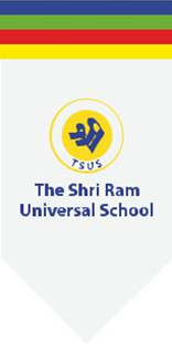 TSUS Flag - School Banner